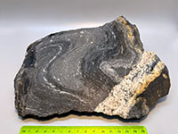 A block of crystalline rock display tight fold in dark schist and gneist cut diagonally by a white aplite-filled fracture.